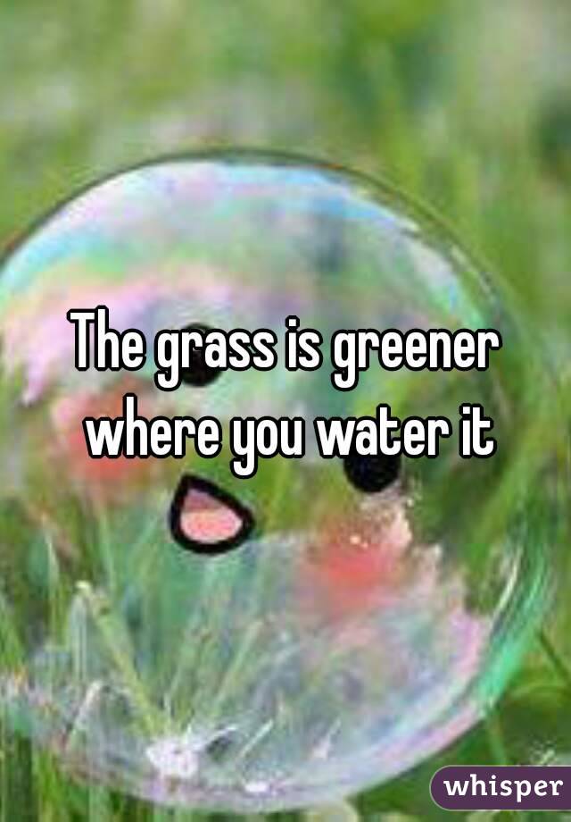 The grass is greener where you water it