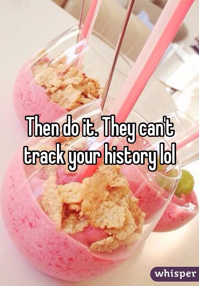 Then do it. They can't track your history lol