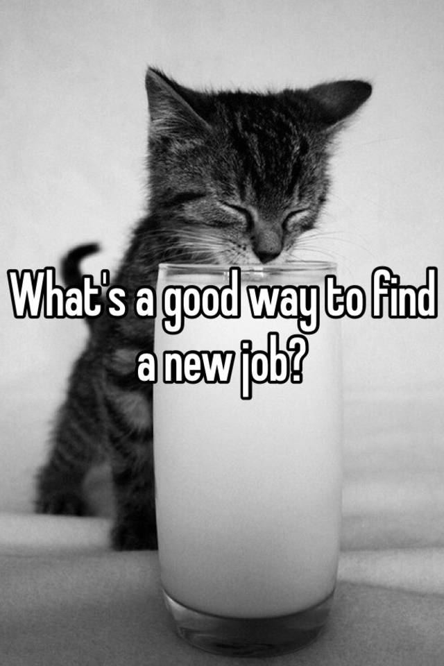 what-s-a-good-way-to-find-a-new-job