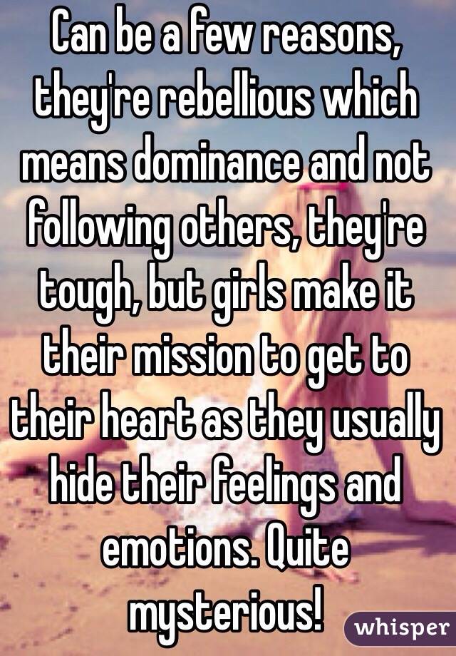 Can be a few reasons, they're rebellious which means dominance and not following others, they're tough, but girls make it their mission to get to their heart as they usually hide their feelings and emotions. Quite mysterious!