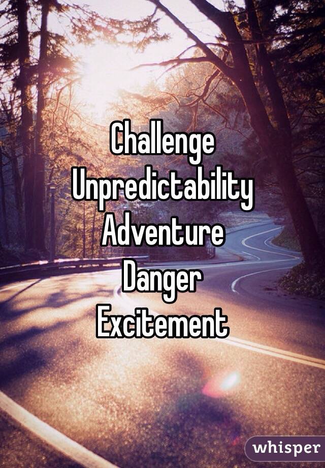 Challenge 
Unpredictability 
Adventure 
Danger 
Excitement 
