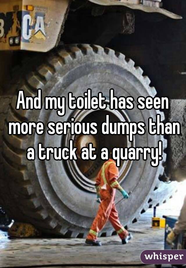 And my toilet has seen more serious dumps than a truck at a quarry!