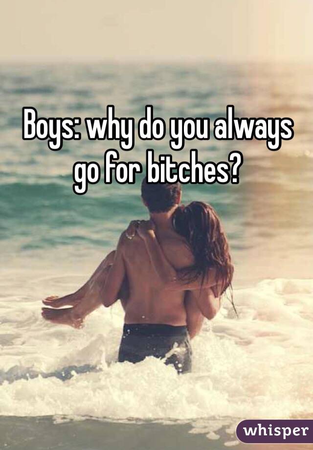 Boys: why do you always go for bitches?