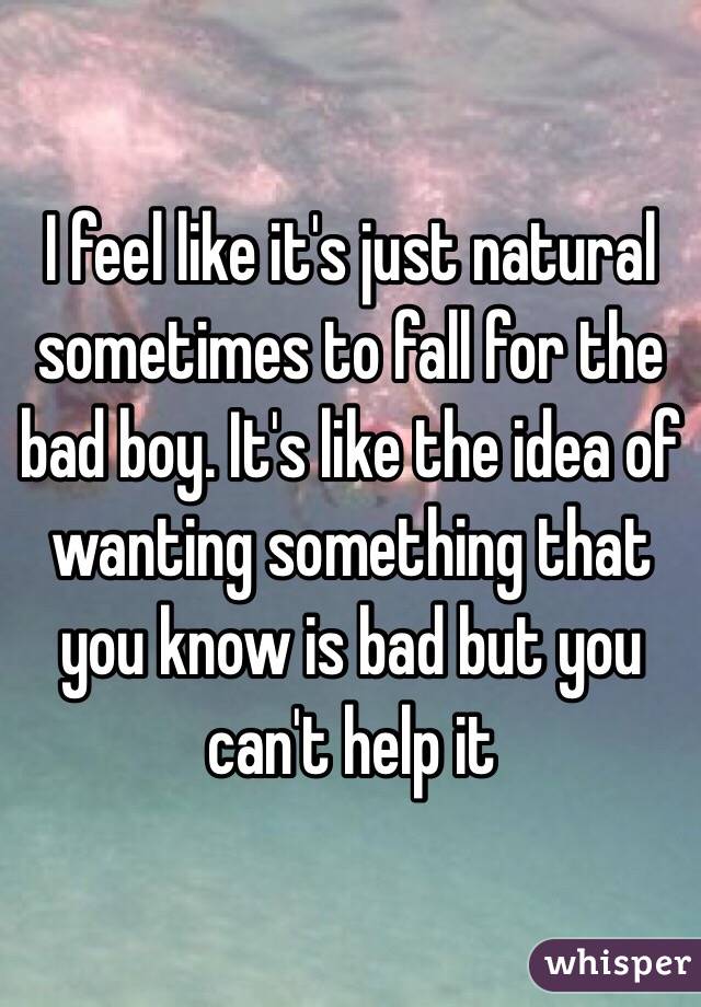 I feel like it's just natural sometimes to fall for the bad boy. It's like the idea of wanting something that you know is bad but you can't help it 