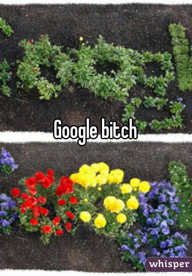 Google bitch