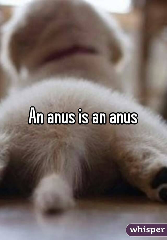 An anus is an anus