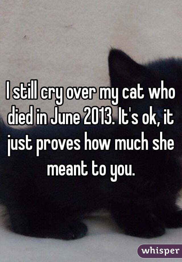 I still cry over my cat who died in June 2013. It's ok, it just proves how much she meant to you.