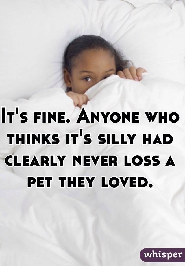 It's fine. Anyone who thinks it's silly had clearly never loss a pet they loved.