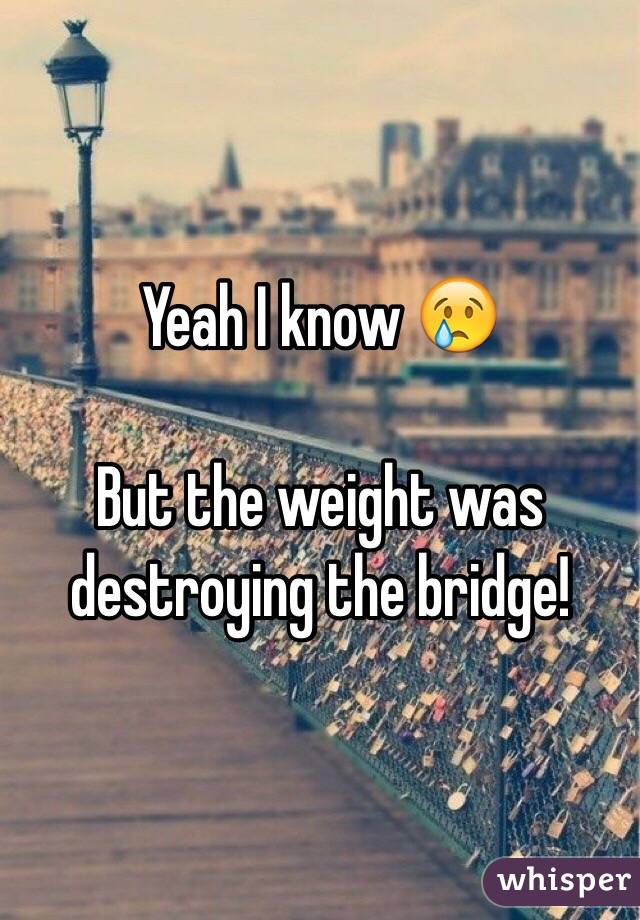 Yeah I know 😢

But the weight was destroying the bridge!  