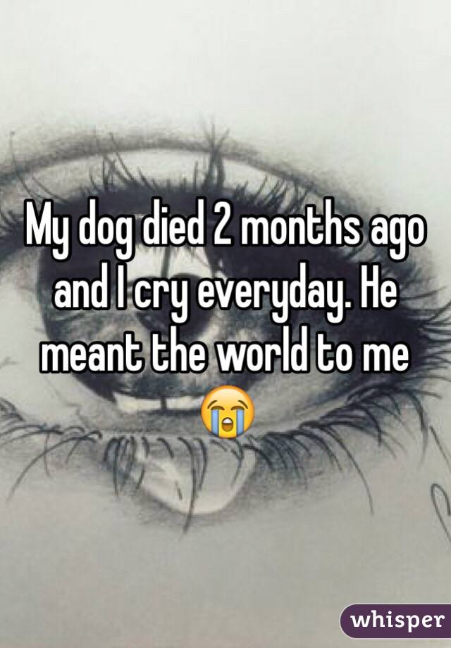 My dog died 2 months ago and I cry everyday. He meant the world to me 😭