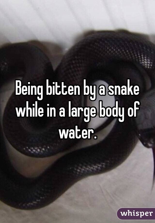 Being bitten by a snake while in a large body of water.