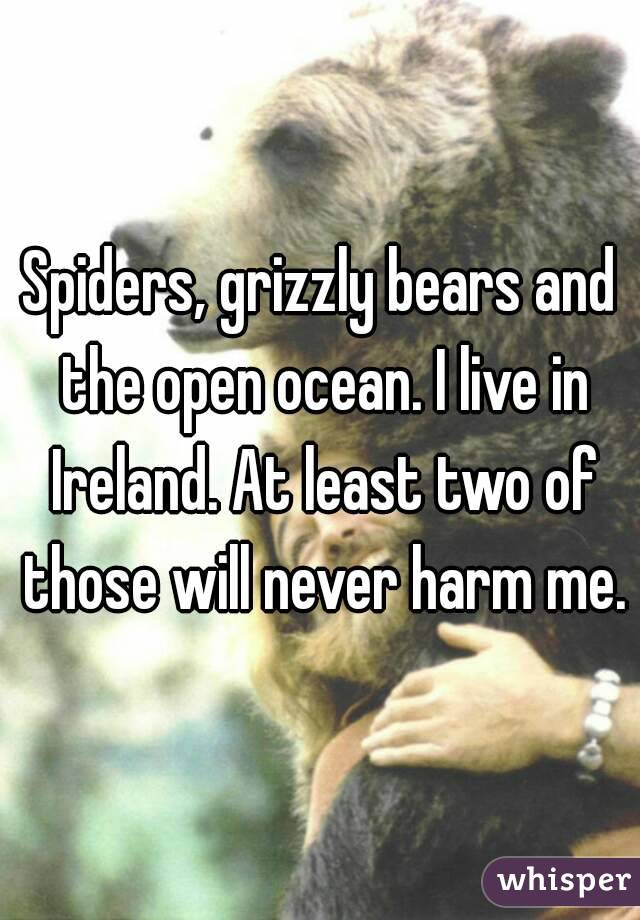 Spiders, grizzly bears and the open ocean. I live in Ireland. At least two of those will never harm me.