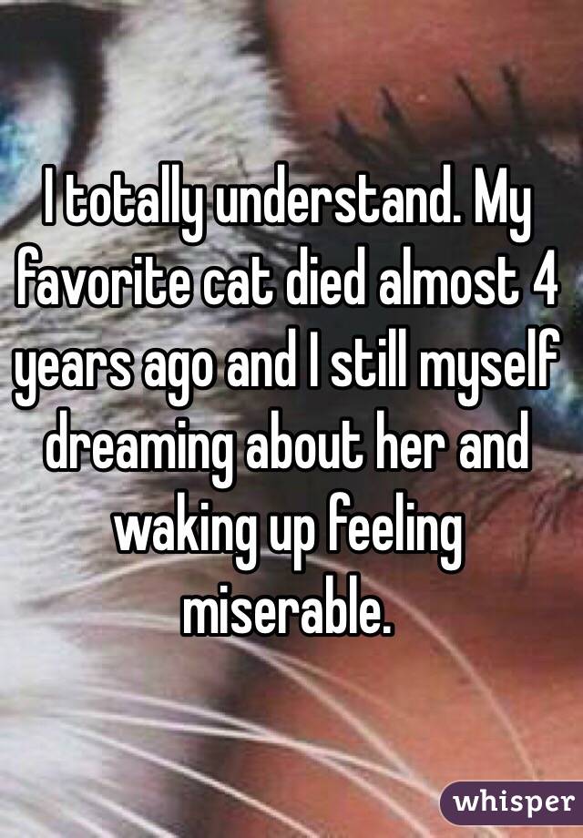 I totally understand. My favorite cat died almost 4 years ago and I still myself dreaming about her and waking up feeling miserable. 