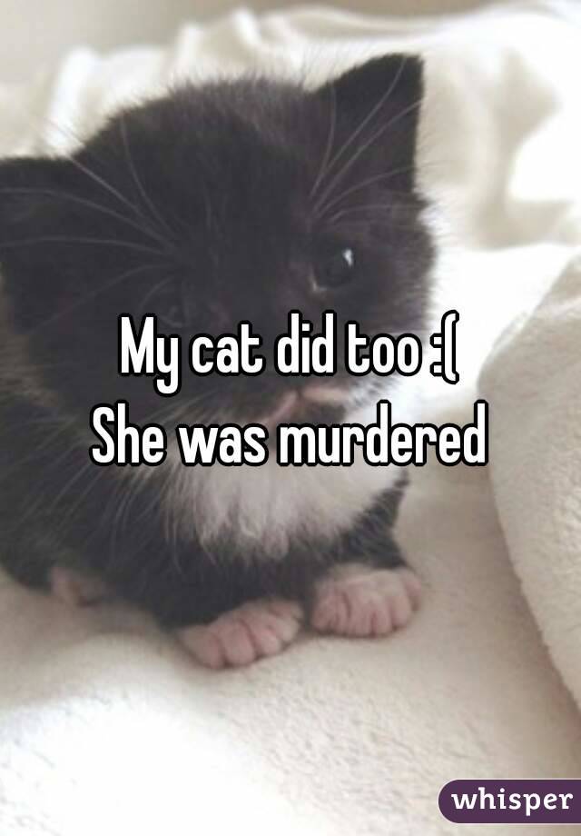 My cat did too :(
She was murdered