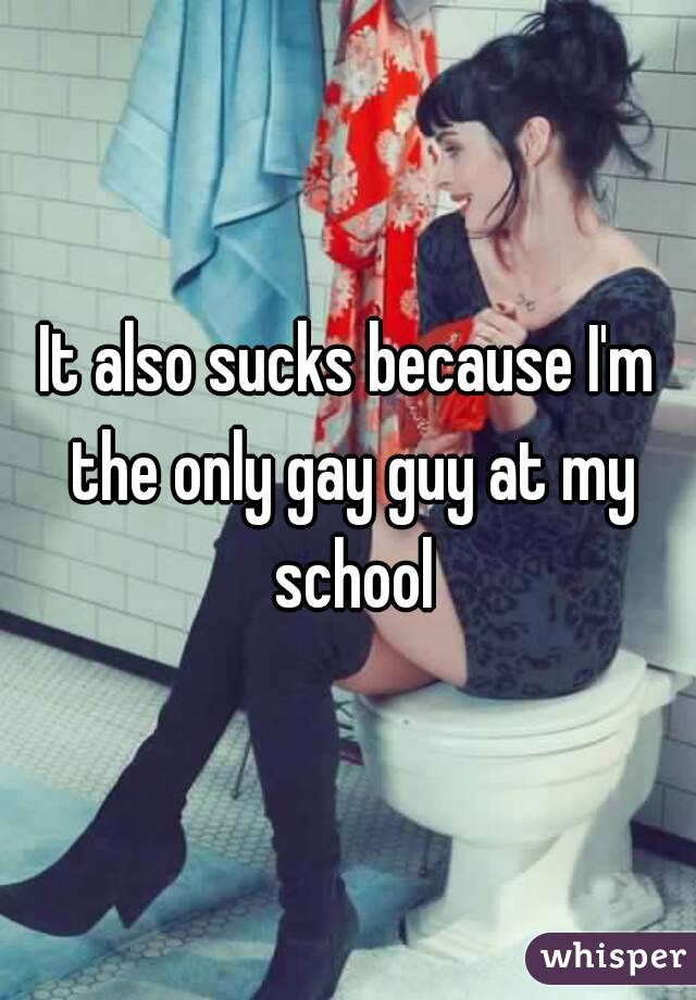 It also sucks because I'm the only gay guy at my school