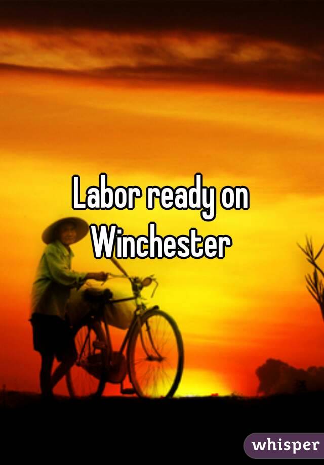 Labor ready on Winchester 