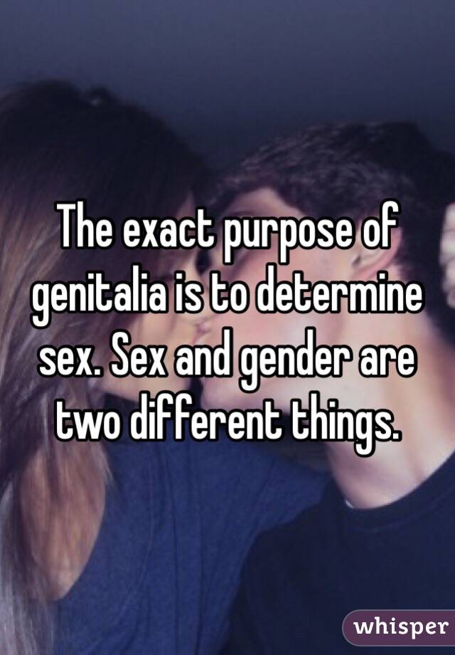 The exact purpose of genitalia is to determine sex. Sex and gender are two different things. 