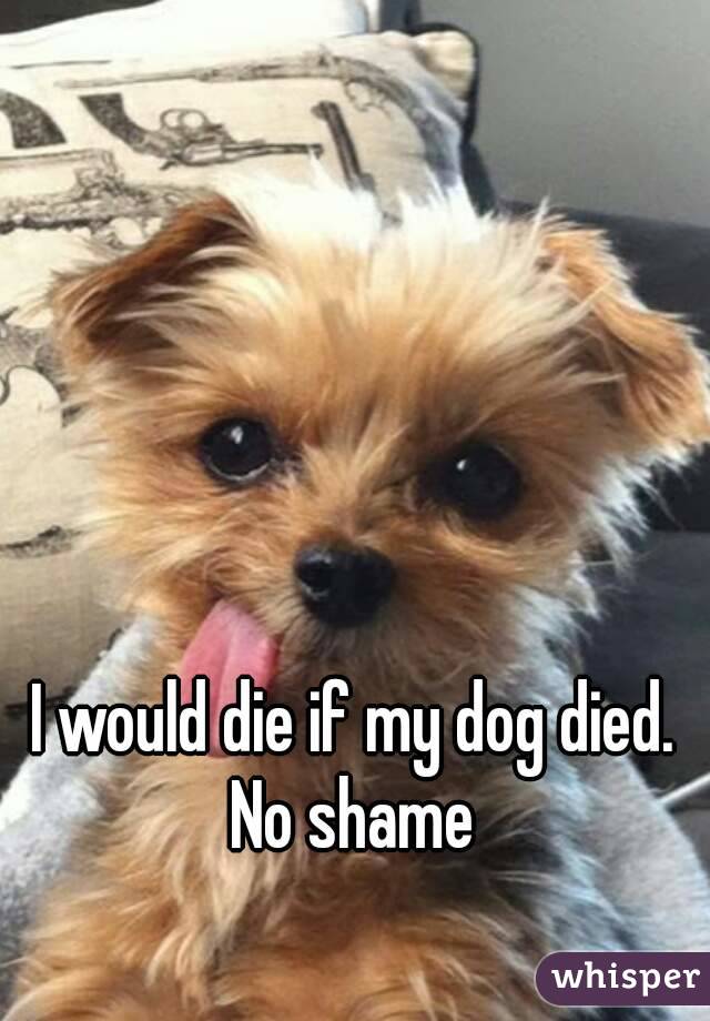 I would die if my dog died. No shame 
