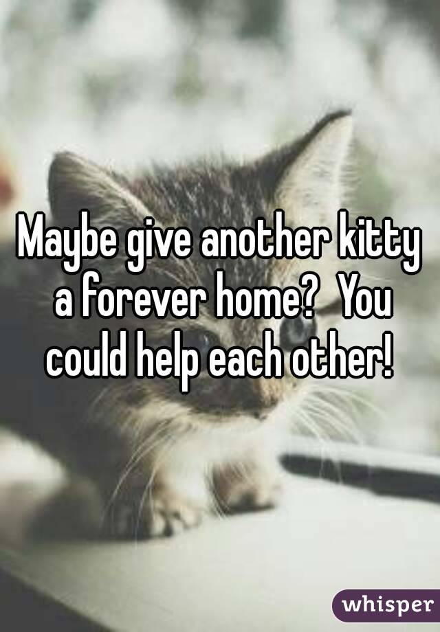 Maybe give another kitty a forever home?  You could help each other! 