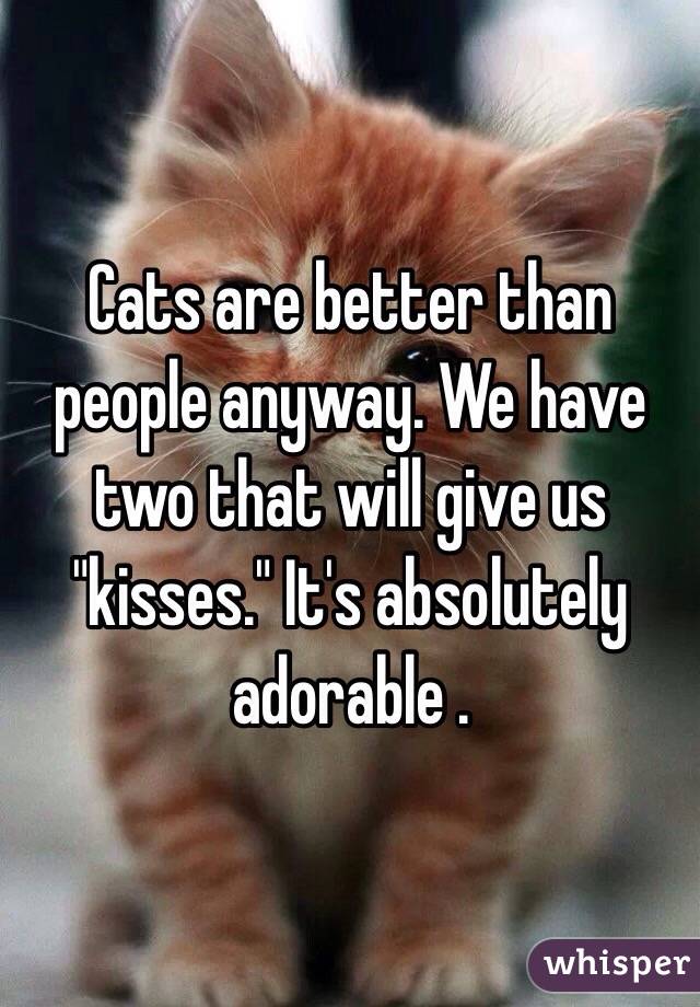 Cats are better than people anyway. We have two that will give us "kisses." It's absolutely adorable .