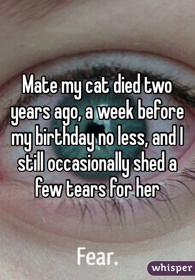 Mate my cat died two years ago, a week before my birthday no less, and I still occasionally shed a few tears for her