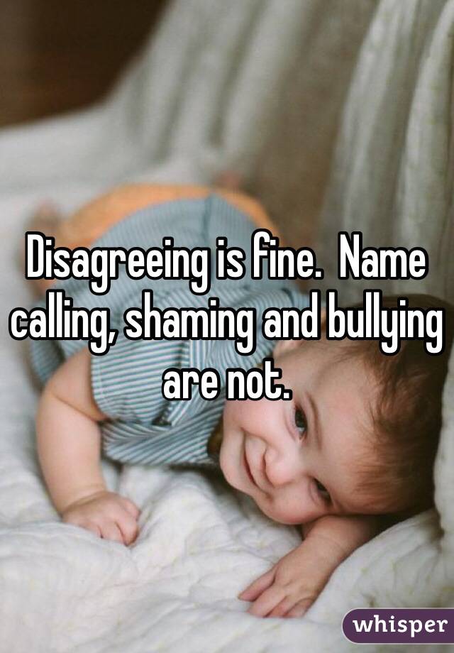 Disagreeing is fine.  Name calling, shaming and bullying are not.  
