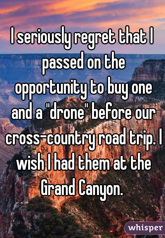I seriously regret that I passed on the opportunity to buy one and a "drone" before our cross-country road trip. I wish I had them at the Grand Canyon. 