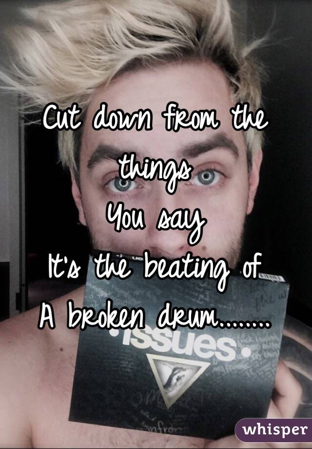 Cut down from the things 
You say 
It's the beating of 
A broken drum........