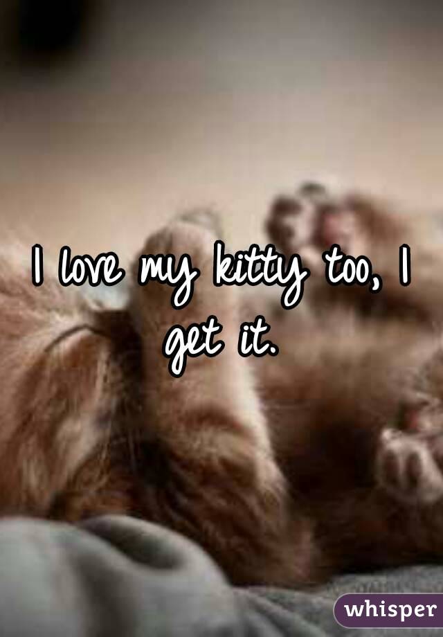 I love my kitty too, I get it. 