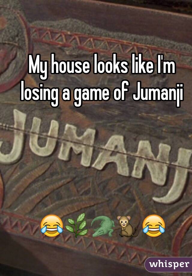 My house looks like I'm losing a game of Jumanji 




😂🌿🐊🐒😂