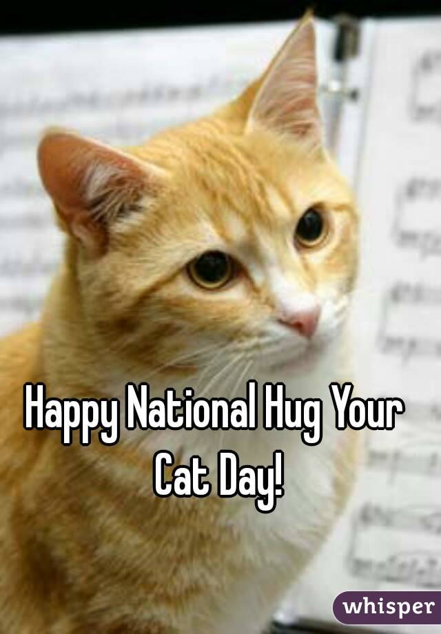 Happy National Hug Your Cat Day!