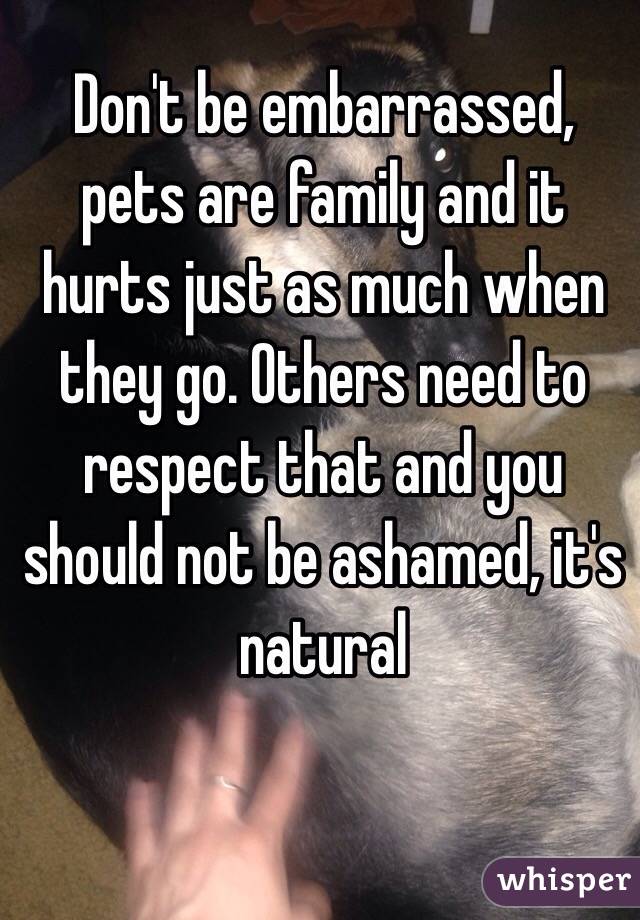 Don't be embarrassed, pets are family and it hurts just as much when they go. Others need to respect that and you should not be ashamed, it's natural