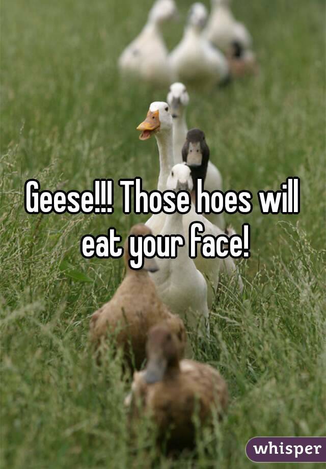 Geese!!! Those hoes will eat your face!