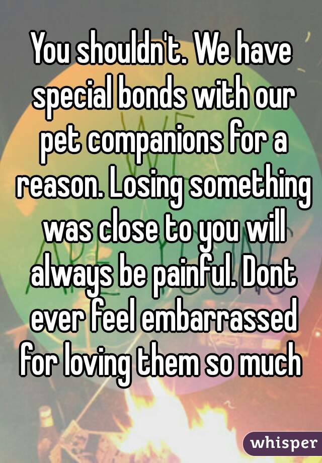 You shouldn't. We have special bonds with our pet companions for a reason. Losing something was close to you will always be painful. Dont ever feel embarrassed for loving them so much 