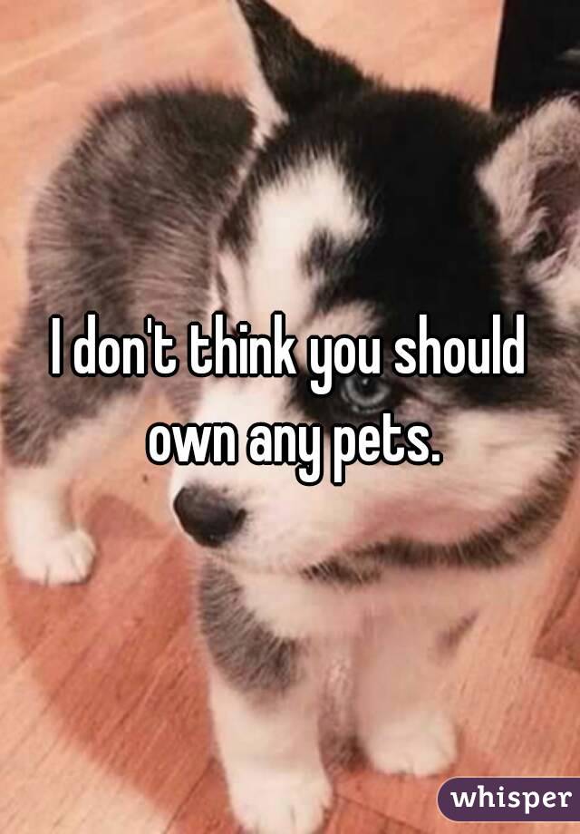 I don't think you should own any pets.