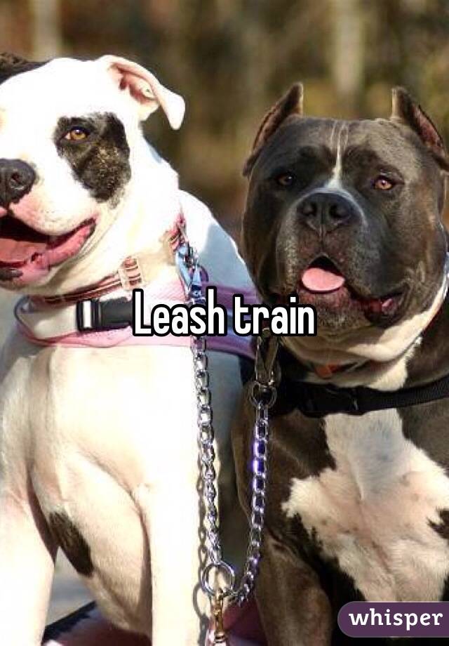 Leash train