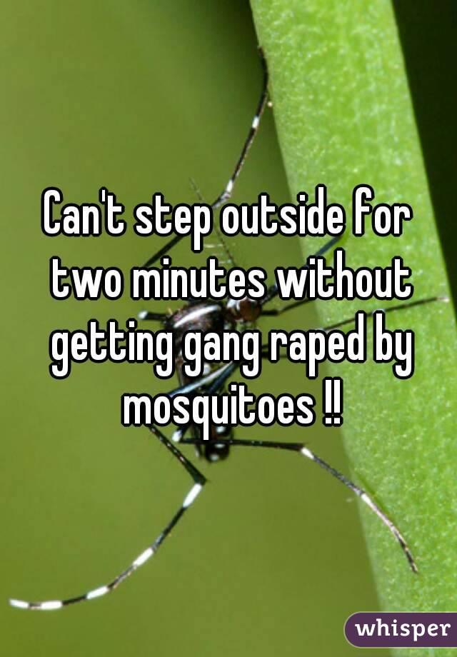 Can't step outside for two minutes without getting gang raped by mosquitoes !!