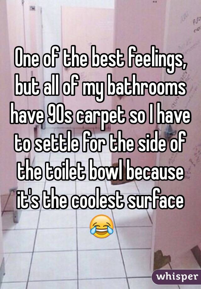 One of the best feelings, but all of my bathrooms have 90s carpet so I have to settle for the side of the toilet bowl because it's the coolest surface 😂