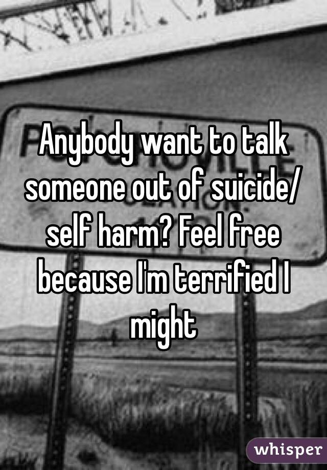 Anybody want to talk someone out of suicide/self harm? Feel free because I'm terrified I might