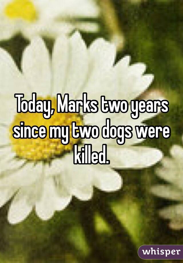 Today, Marks two years since my two dogs were killed. 