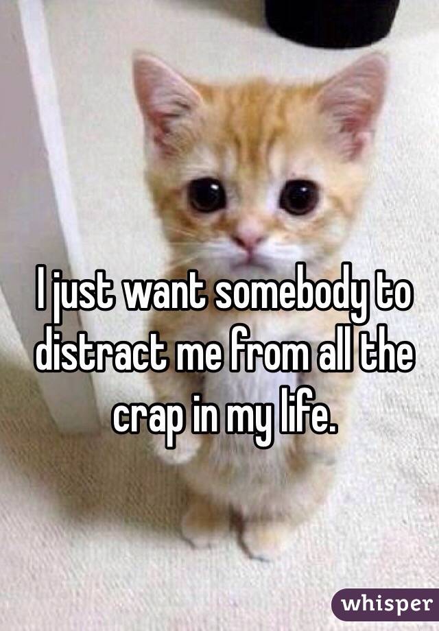 I just want somebody to distract me from all the crap in my life. 