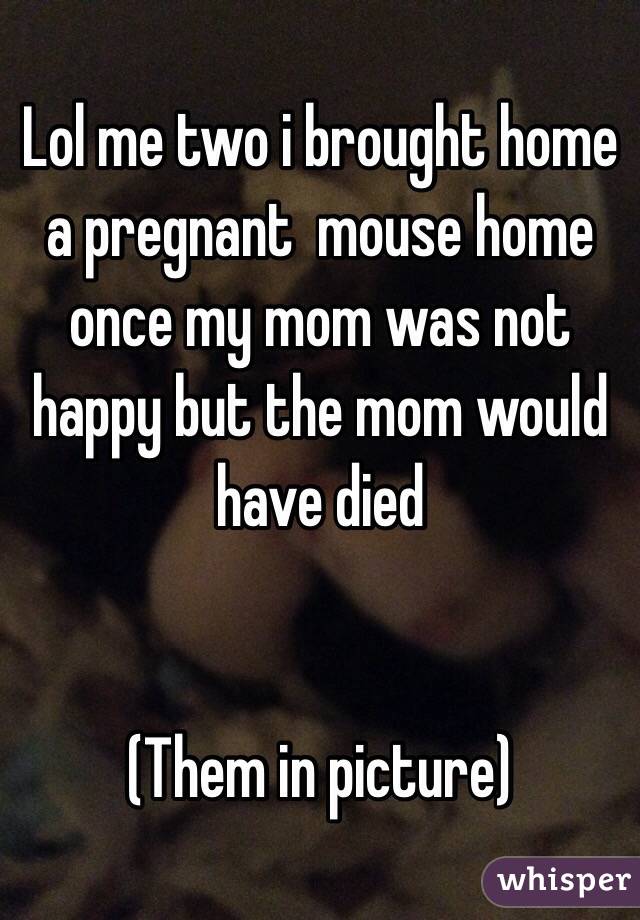 Lol me two i brought home a pregnant  mouse home once my mom was not happy but the mom would have died


(Them in picture) 