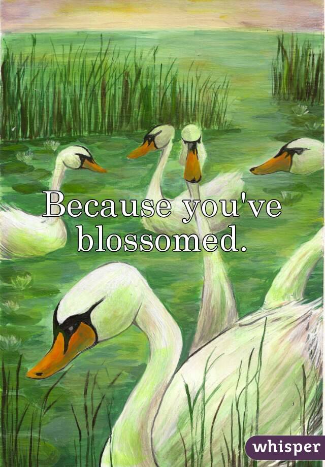 Because you've blossomed. 