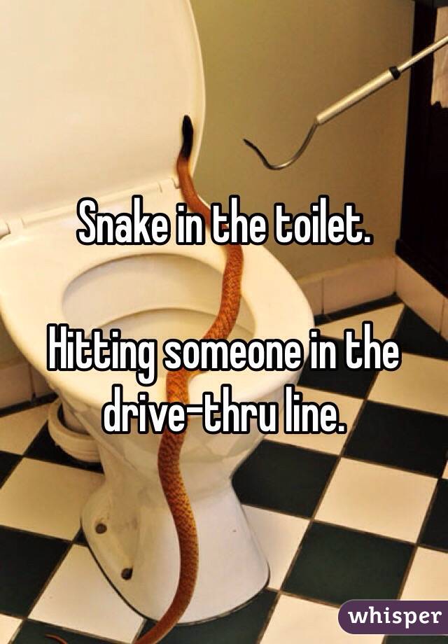 Snake in the toilet.

Hitting someone in the drive-thru line.