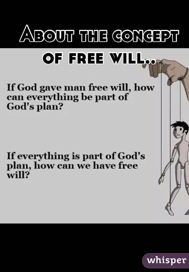 About the concept of free will..