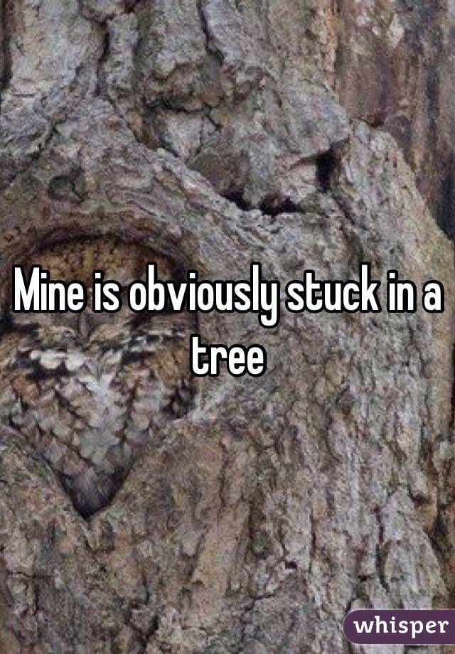 Mine is obviously stuck in a tree