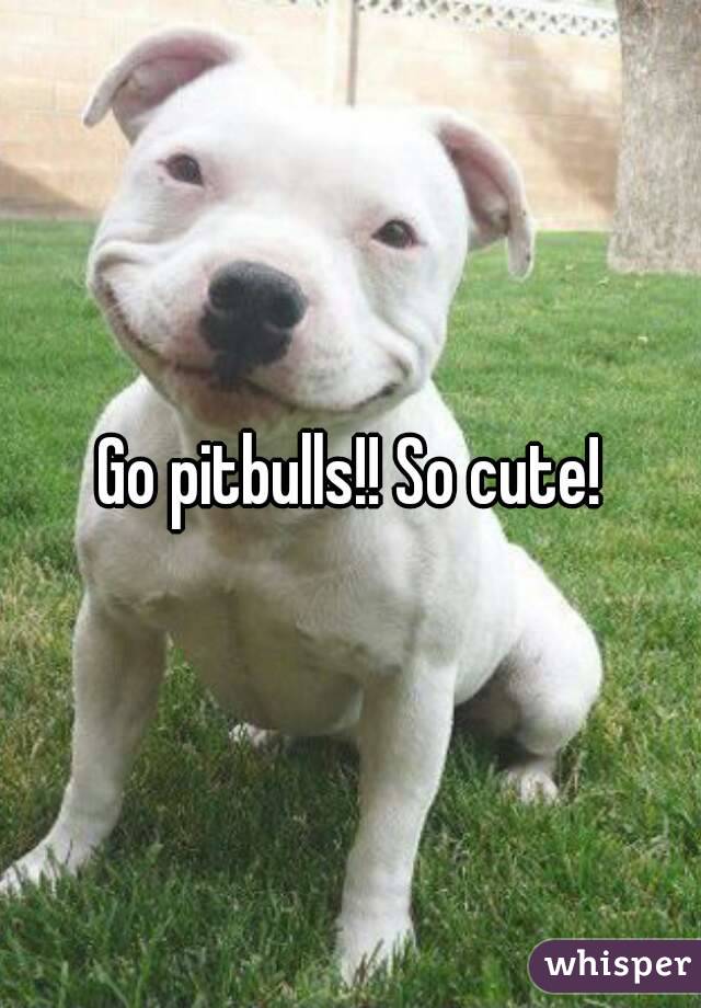 Go pitbulls!! So cute!