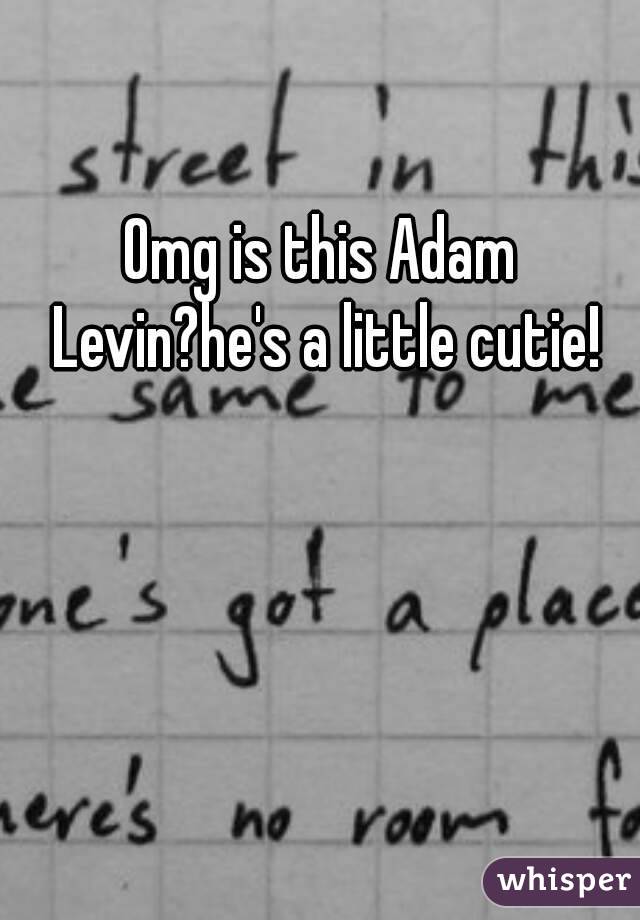 Omg is this Adam Levin?he's a little cutie!