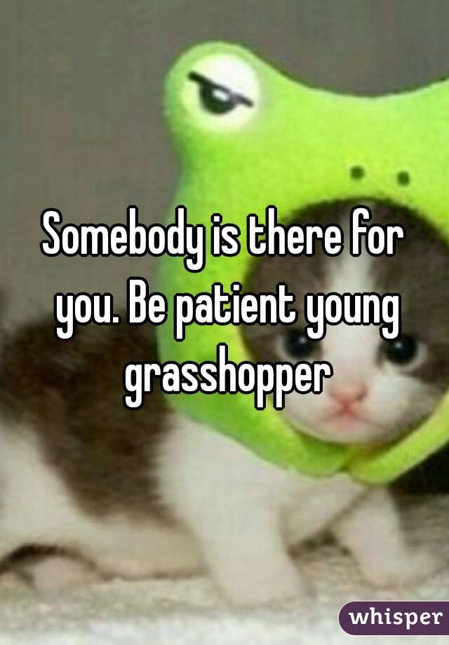 Somebody is there for you. Be patient young grasshopper