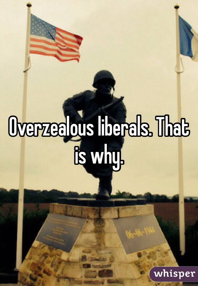 Overzealous liberals. That is why. 
